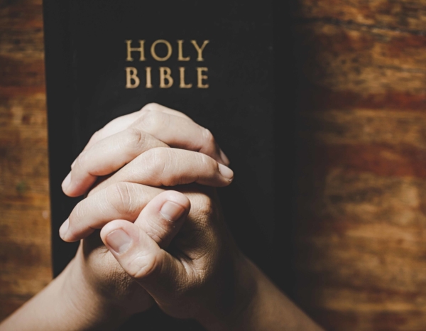 THE HOLY BIBLE